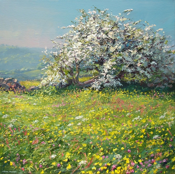 Mark Preston - buttercups, clover and mayblossom, ashleyhay